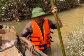 Bức thư xúc động của thầy Hiệu trưởng gửi học sinh vùng lũ