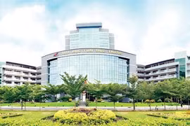 Tuổi nào cho 'Giáo sư' Vinh Danh?