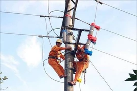 TPHCM: Triển khai nhiều giải pháp đảm bảo cấp điện mùa khô năm 2021