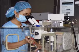 Việt Nam có khoảng 10% cặp vợ chồng bị vô sinh