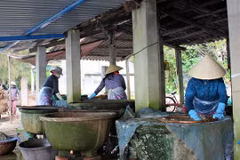 Nuôi con ăn học nhờ vào con hến