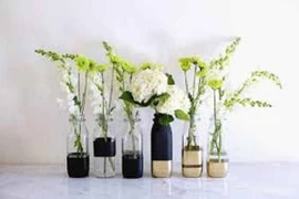 Đừng biến bình, lọ hoa thành ổ muỗi