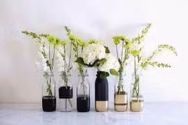 Đừng biến bình, lọ hoa thành ổ muỗi