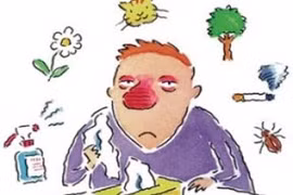 Hen phế quản vì mạt nhà