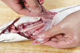 Khoái khẩu lòng cá, cả nhà nhiễm sán