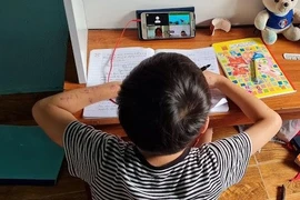 Học sinh lớp 1, 2 có cần kiểm tra học kỳ online?