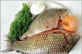 Món ăn thuốc từ cá diếc