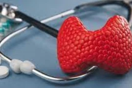 Thuốc kháng giáp trạng tổng hợp có gây dị tật thai nhi?