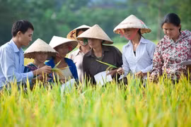 Kêu gọi giải quyết các khủng hoảng lương thực hiện đang ở mức báo động