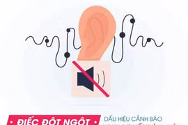 Sử dụng thảo dược chữa điếc đột ngột - Giải pháp an toàn mang tới hiệu quả cao