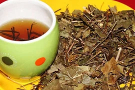 Vối trị đau đầu, mắt mờ