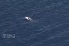 Hải quân Iran phát hiện và “tóm sống” tàu ngầm tấn công Mỹ trên Ấn Độ Dương