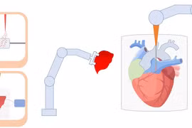 Tích hợp công nghệ để chế tạo mô và bộ phận nhân tạo