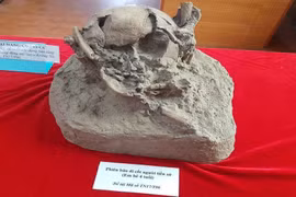 Vén bức màn bí ẩn về cuộc sống của người tiền sử 