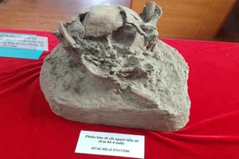 Vén bức màn bí ẩn về cuộc sống của người tiền sử 