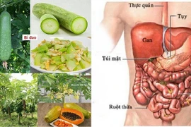 Món ăn - bài thuốc chữa viêm loét ruột kết