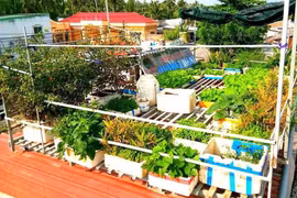 Ý tưởng sáng tạo 19: Vườn rau ao cá trên mái nhà