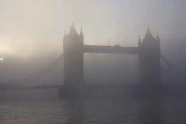 Sống ở thành phố ô nhiễm, dễ bị…tiểu đường?