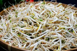 Ăn giá đỗ làm đổ “con giống”