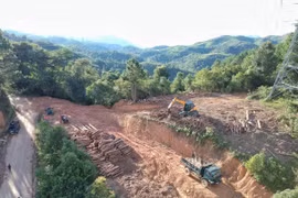 Phá rừng thông trên đỉnh Pha Đin: Liệu có sự tiếp tay, thỏa hiệp ngầm của cơ quan quản lý?