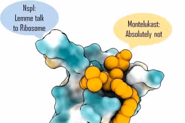 Thuốc điều trị hen suyễn Montelukast ngăn chặn protein của Covid-19, giảm lây nhiễm