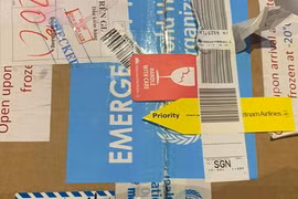 Đường đi của thuốc giải độc pate Minh Chay vào miền Nam