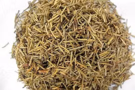 Rễ ma hoàng chữa bệnh ra mồ hôi sau sinh 