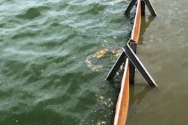 Kết quả bất ngờ về xử lý nước thí điểm ở hồ Tây bằng công nghệ Nhật Bản