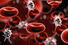 Sốc nhiễm khuẩn vì sợ Covid không đi khám