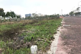 Đà Nẵng cảnh báo bùng phát dịch vụ chuyển đất nông nghiệp thành đất ở trên mạng xã hội