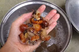 Nước giặt chống muỗi từ bồ hòn