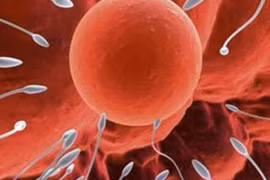 Thời điểm nào thụ thai tốt nhất trong năm?