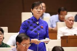 Giảm đại biểu HĐND để giảm kinh phí có mất đi vai trò của cơ quan dân cử