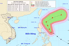 Do ảnh hưởng của siêu bão Surigae, Bắc Biển Đông biển động mạnh, sóng biển cao 4m