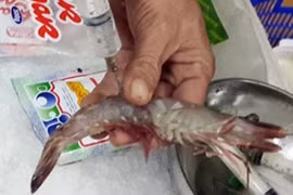 Tác hại của bột thạch bơm vào tôm