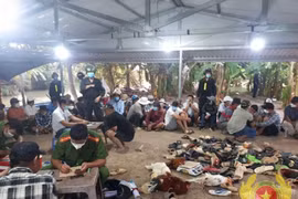 Hiện trường sới đá gà.