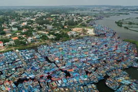 Cảng Sa Kỳ chật cứng tàu neo đậu tránh bão