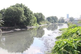 TP.HCM: Thành lập tổ công tác triển khai dự án cải tạo rạch Xuyên Tâm