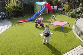 Cỏ nhân tạo có hại?