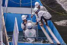 Cải tạo sông Tô Lịch thành công viên: ‘Bảo bối’ Nhật không phải là phép màu