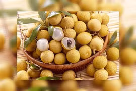 Nhãn giúp tăng trí nhớ