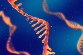 Điều kiện để điều trị đau xương khớp bằng tế bào gốc