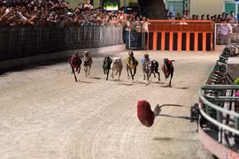 Nghị định 06: Soạn thảo mất 10 năm, giờ... loay hoay sửa