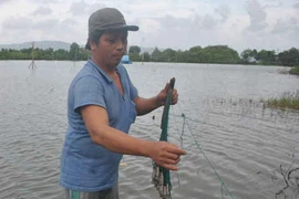 Làng “vớt xác” bên bờ sông Côn