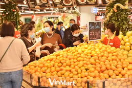 Nguồn cung khó, thực phẩm dịp Tết có đủ?