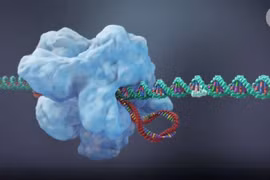 Công cụ chỉnh sửa gene CRISPR trong chẩn đoán bệnh