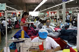 Nhiều doanh nghiệp Việt vẫn có nguy cơ bị đọng nợ