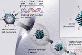 Những công nghệ tiên tiến giúp con người chiến đấu với Covid-19