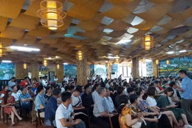 Ma trận gọi vốn đa cấp thời 4.0: Vỡ mộng đầu tư vào tiền ảo