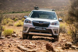 Nguyên nhân nổi đèn "check engine" trên xe Subaru Forester 